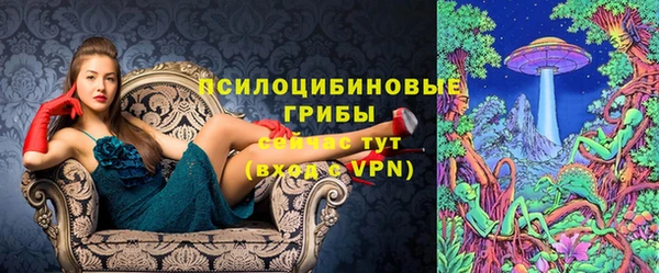 хмурый Апатиты