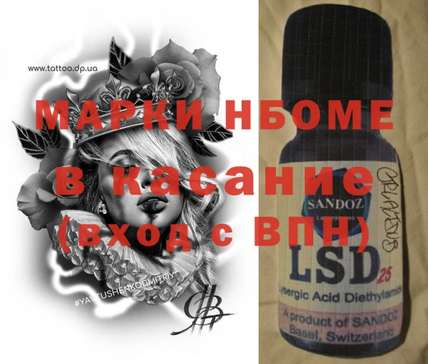 хмурый Алзамай